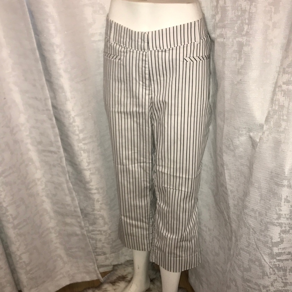 Lane Bryant white blue striped pants size 14